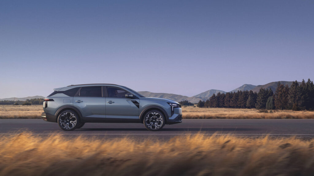 Dacia Striker road