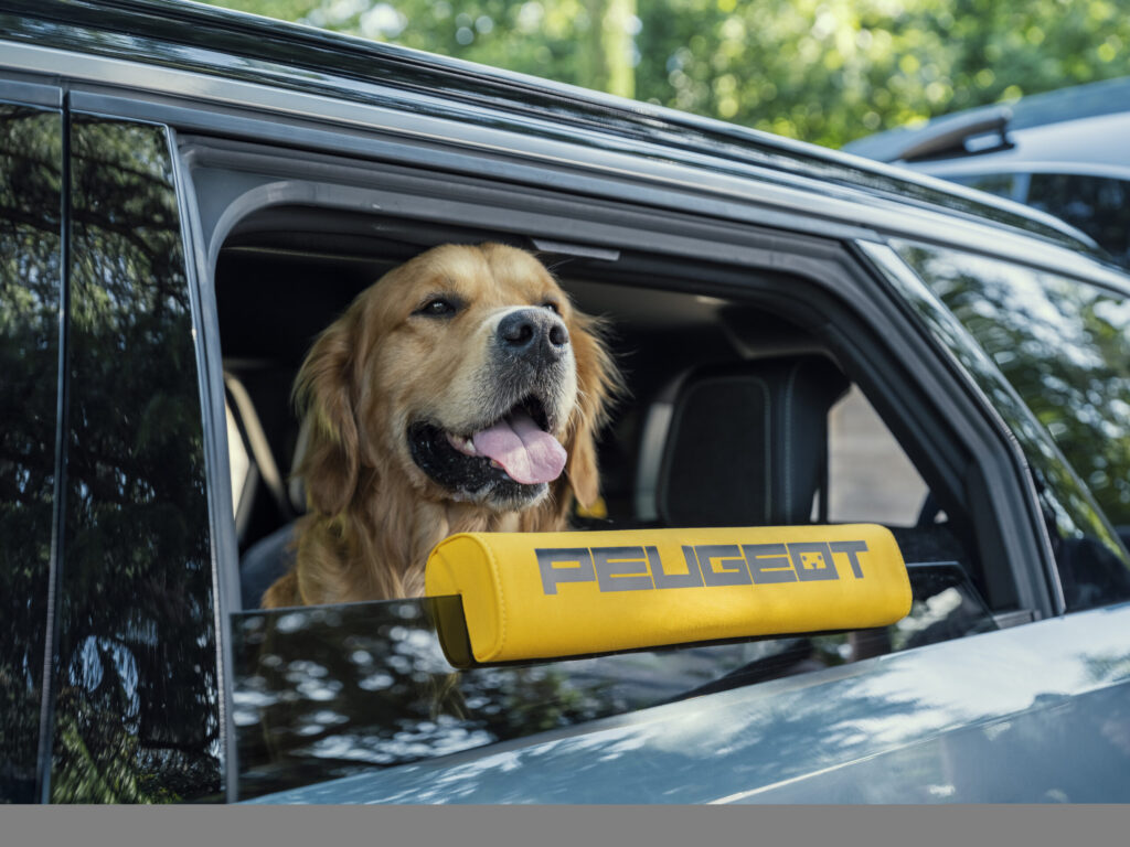 Peugeot 5008 Dog Edition