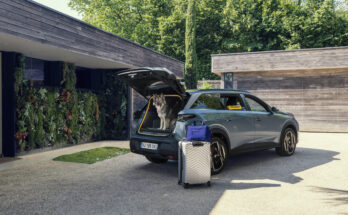 Peugeot E-5008 Dog Edition