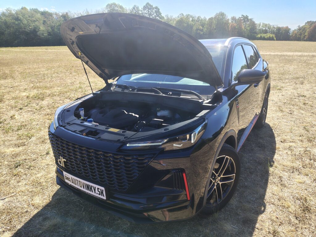 DR 6